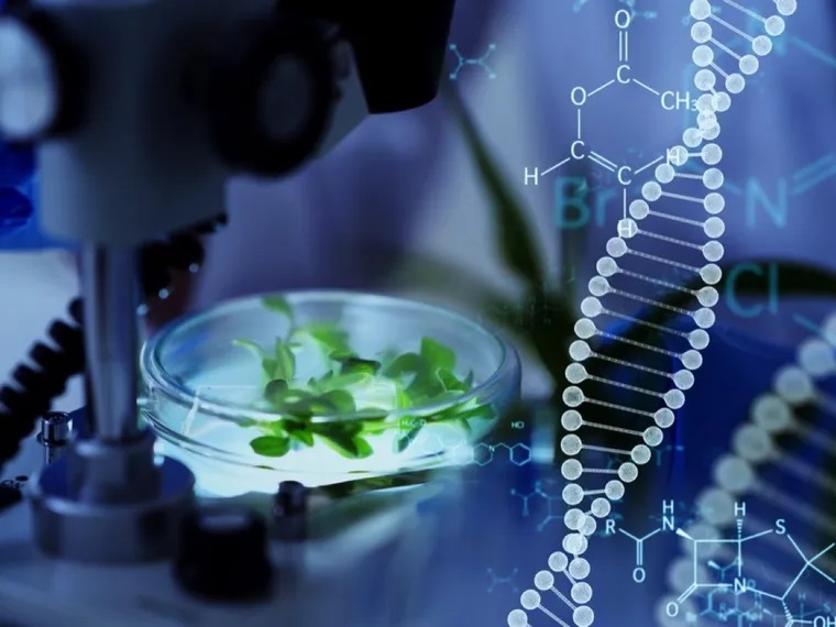 Magíster en Innovación en Biociencias y Bioingeniería