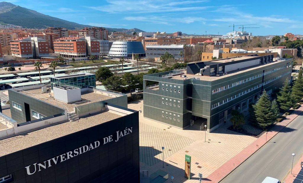 Académico de la Facultad de Educación obtiene beca para realizar estancia postdoctoral en España