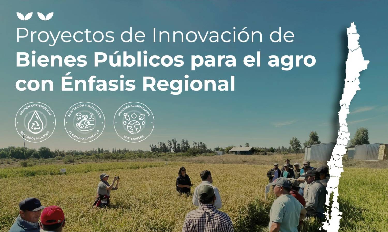 Imagen de la convocatoria Proyectos de innovación de bienes públicos para el agro con énfasis regional