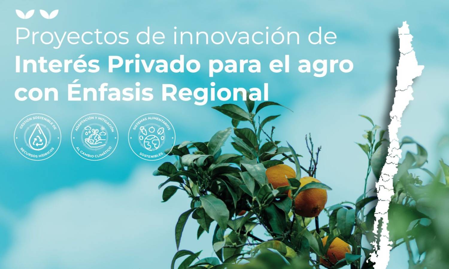 Afiche con los detalles de la convoctoaria Proyectos de innovación de interés privado para el agro con énfasis regional