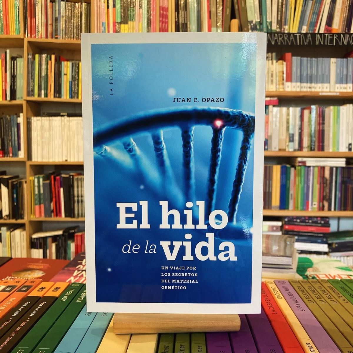 libro El Hilo de la Vida de Juan C. Opazo