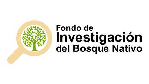 imagen del concurso fondo de investigación del bosque nativo