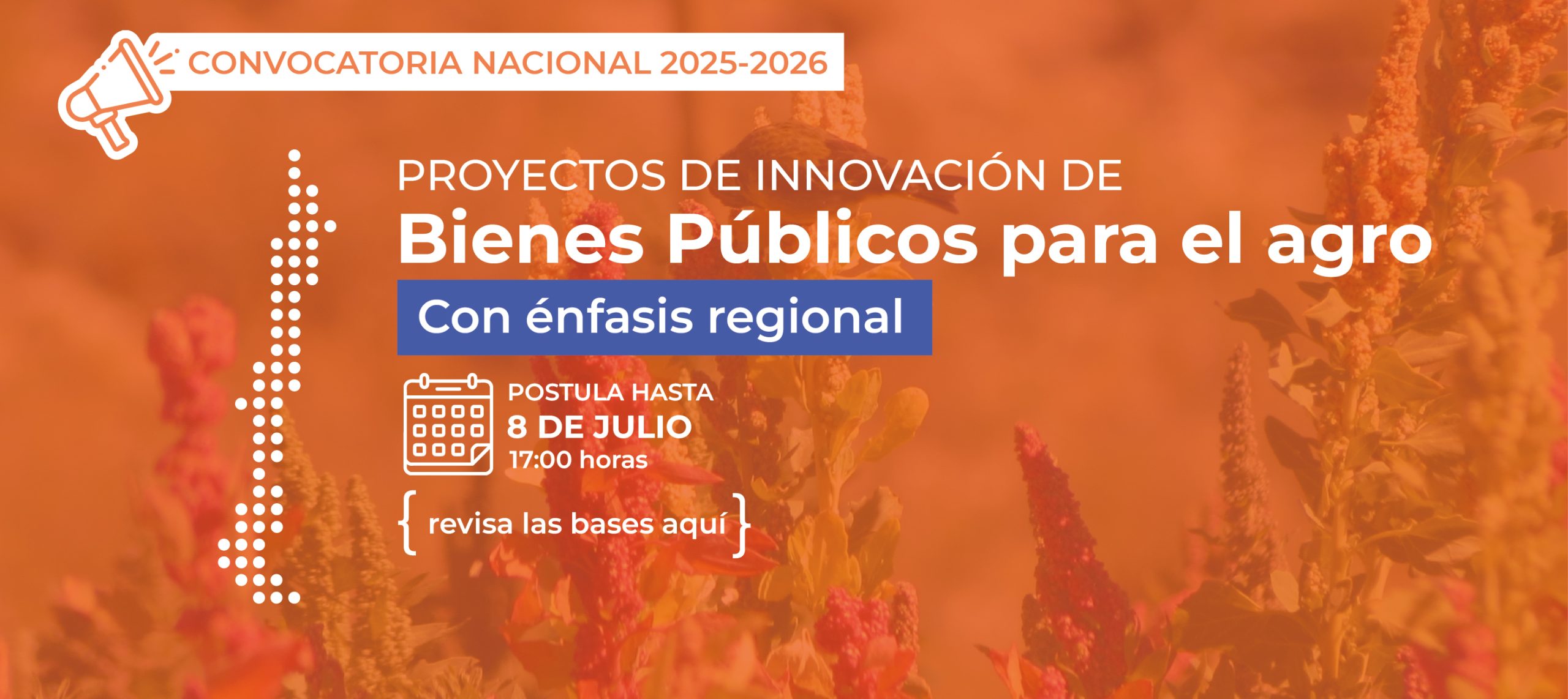 Banner-web-CN-2025-2026-01-scaled