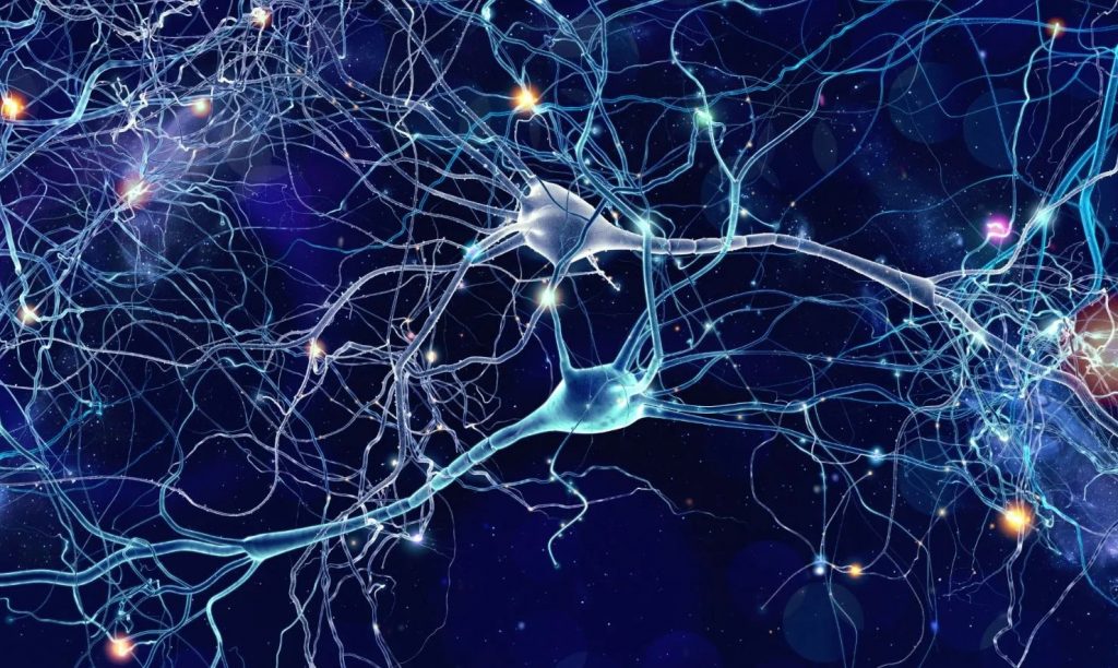 ¿Una “diabetes del cerebro”? El metabolismo energético como nueva clave en las enfermedades psiquiátricas
