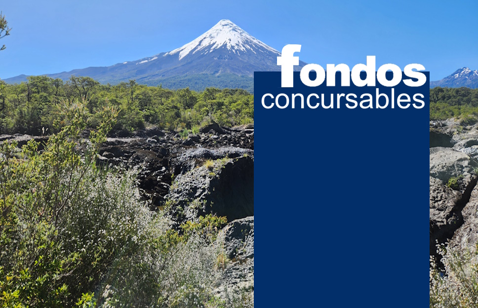 FondoFondosConcursables2